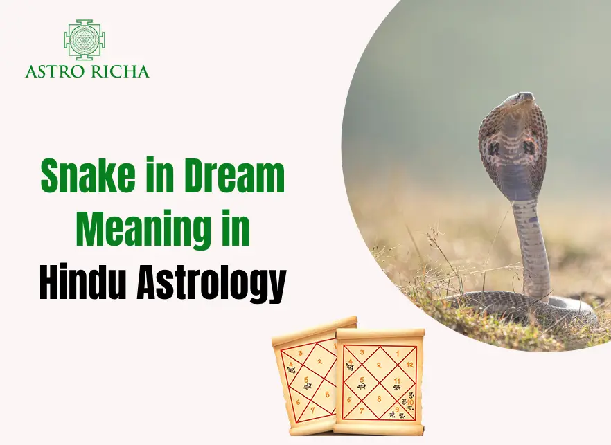 Snake in Dream Meaning in Hindu Astrology